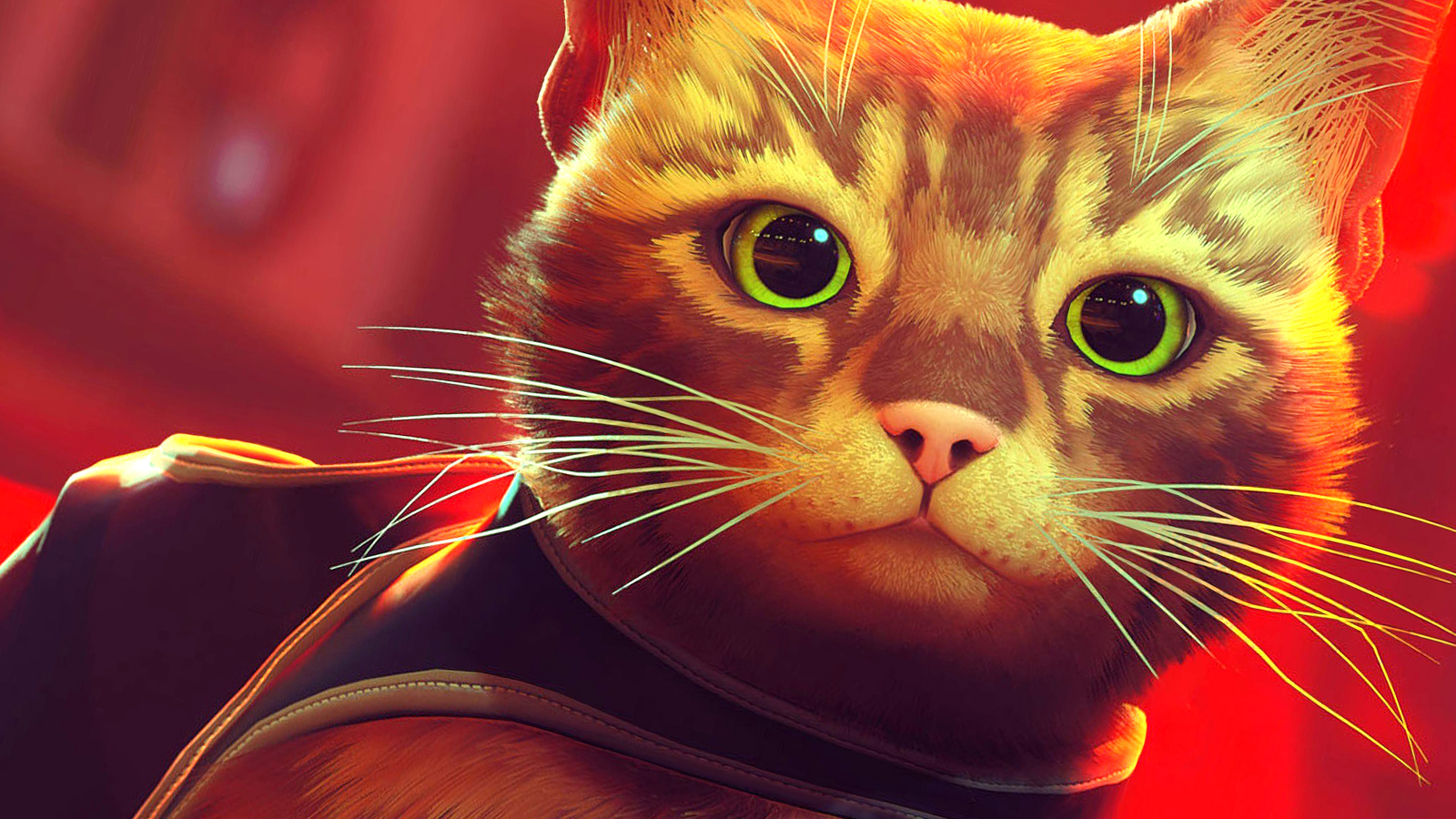 Stray, o jogo do gatinho, pode estar chegando em breve ao Xbox